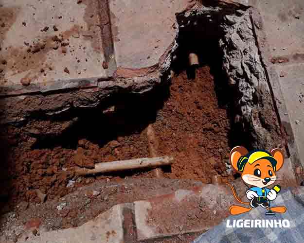 Serviço profissional de caça vazamento Ligeirinho