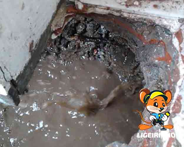 Serviço técnico de localização de vazamento São Paulo