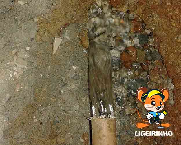 Serviço técnico de reparo de vazamento Ligeirinho